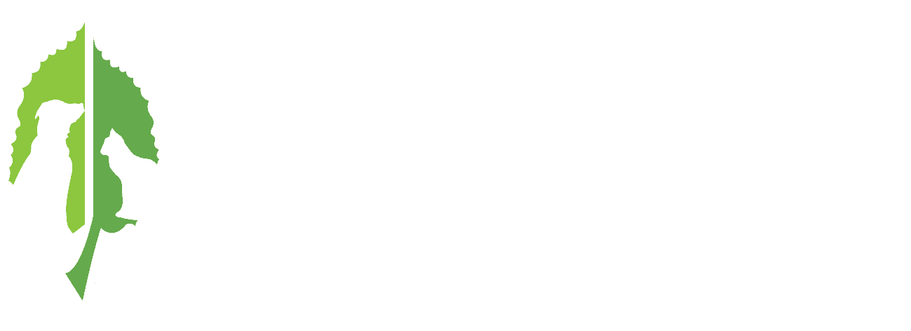 logo light